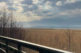 Greyówka dom kryty strzechą w Gardna Park - Foto 28