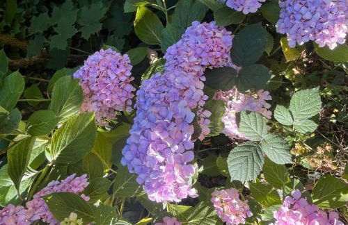 Relaxing family retreat - Foto 22