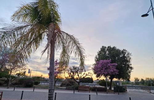 Apartamento Jacaranda - Foto 14