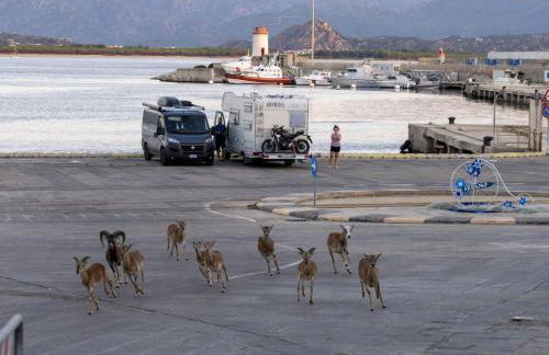 Tramonto D'oro - Foto 25