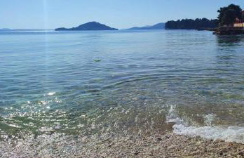 Sea garden Grilov - Foto 33