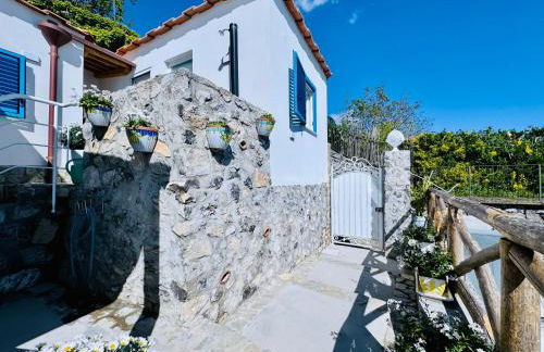 YourHome - White House Giò - Foto 24