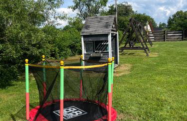 Domki u Bejdaka 789- 039 - 689 WYRUSZ Z GOSPODARZEM ŚLADAMI NIEISTNIEJĄCYCH WSI - Foto 4