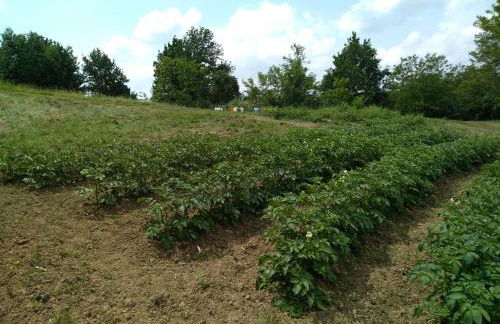 Cascina dei Cisi - Foto 51