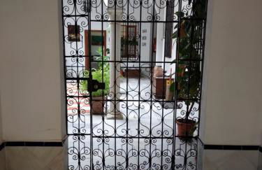 Patio Sevillano Flores - Photo 12