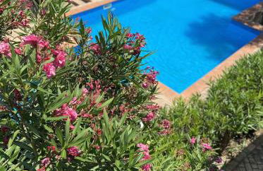 Residence Cassiodoro - Photo 33