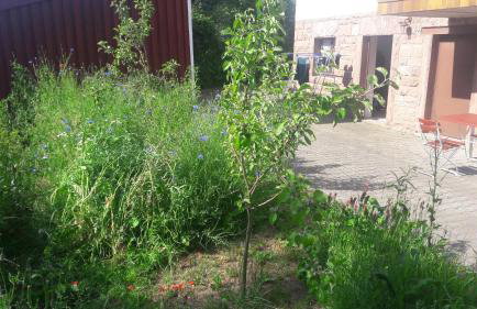 Ferienwohnung Ullrich im Spessart - Foto 33