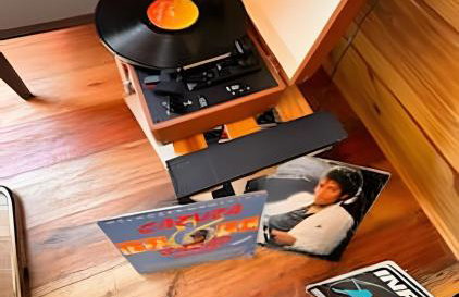 Chalé Recanto cabana mais bonita do lago Corumbá - Photo 43