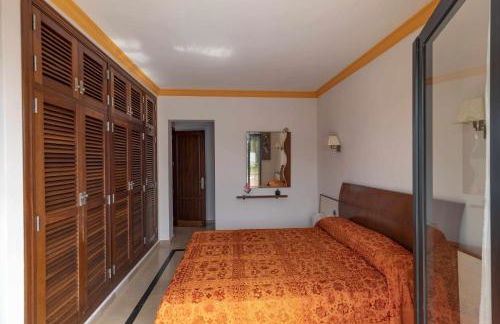 Morning Star - Foto 9