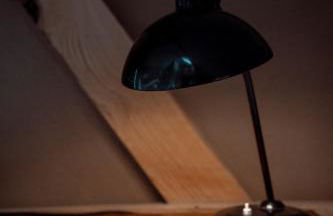 Thomashof Klein-Mutz - Foto 76