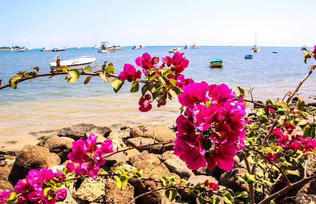 Latitude Luxury Seafront Apartments - Foto 52