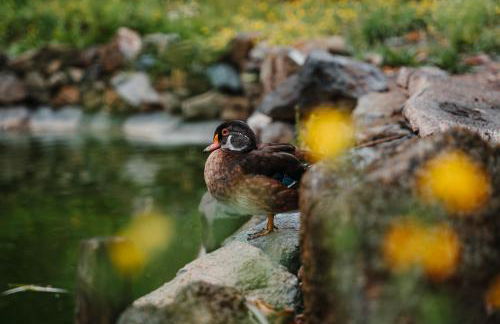 Agriturismo Ca du Chittu - Foto 43