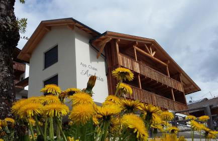 Chalet Apartments Ambria - Photo 8