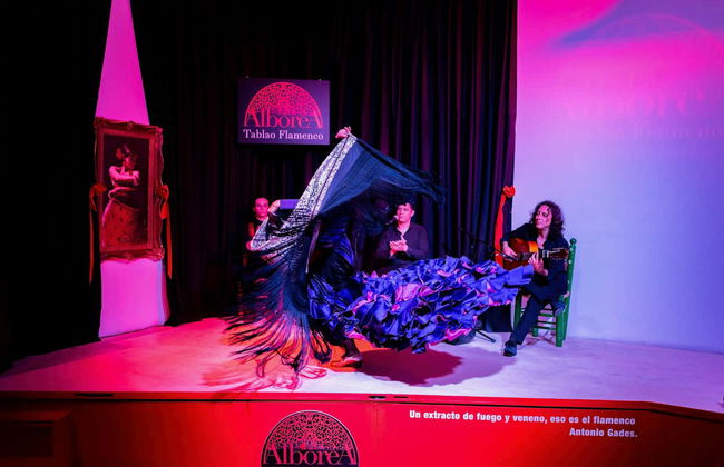 Spectacle de flamenco à La Alboreá - Photo 7