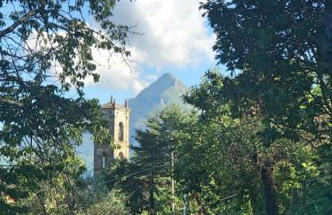 THE DORMOUSE - Il Ghiro - Foto 46