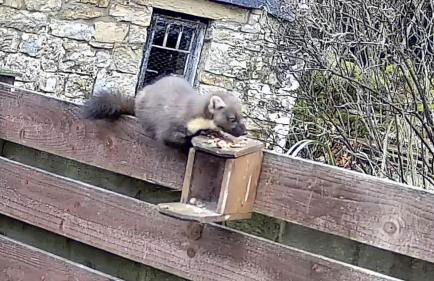 Castle Cottage with views of Kielder Castle - Foto 23