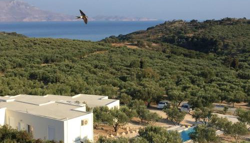 WeCrete Apartments - Foto 2