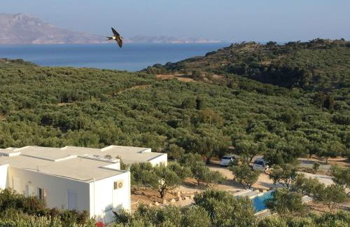 WeCrete Apartments - Foto 2