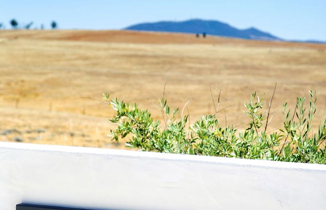 Herdade dos Castelejos - Foto 41