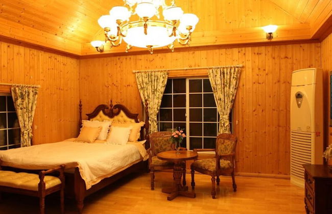 Gyeongju Europe Village Pension - Foto 16