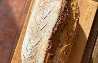 La colina buena - cosy casita for nature lovers - Foto 42