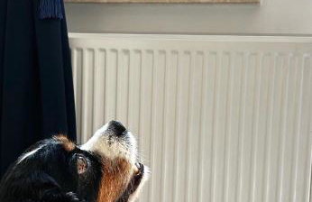 Villa Antonina - Foto 7