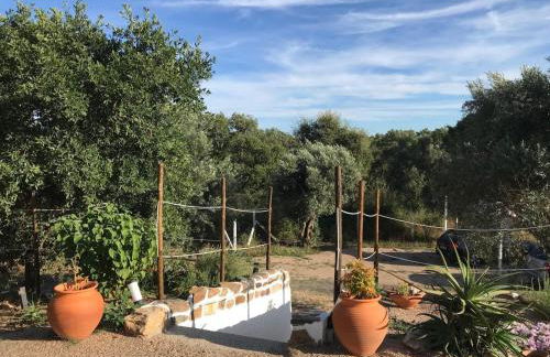 Casa das Mouriscas - Foto 41