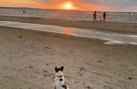 Apart Park Albus 414 - Foto 23