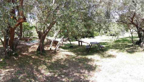 Apartments Juretic - Foto 4, Garden