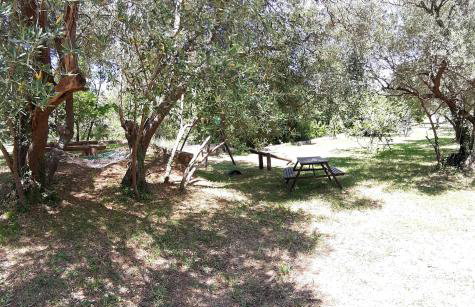 Apartments Juretic - Photo 4