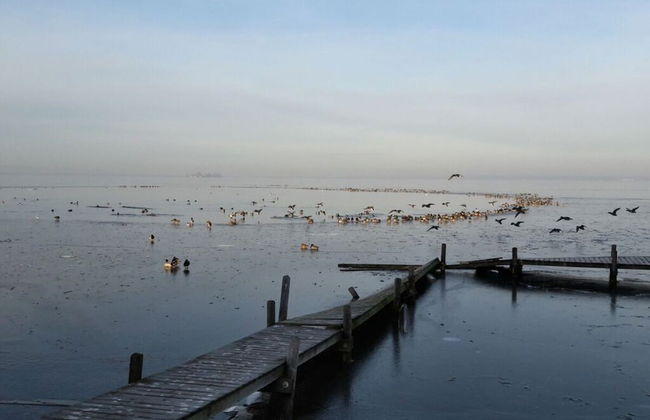 Dornbusch Apartment 1 - Photo 16