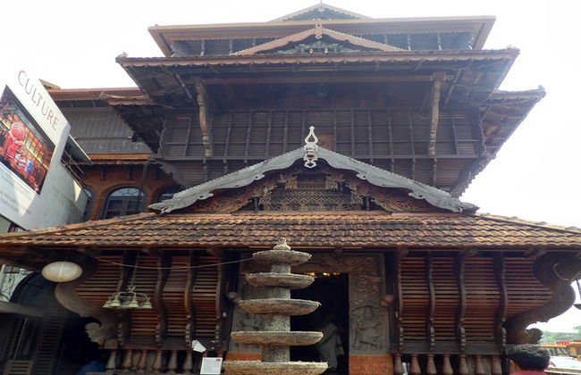 Hill Palace Museum and Folklore Museum tour - private - Foto 4