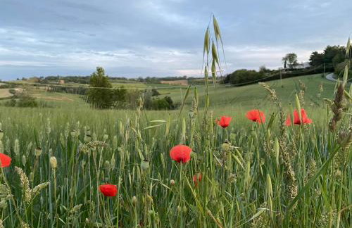 Casa Sant Angelo - Photo 72