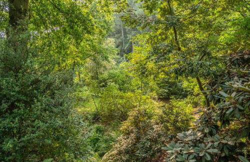 Rural bolthole in Constable country estate - The Woodshed - Foto 23