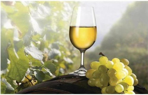 Villa Korana with Pool & Jacuzzi - Foto 43