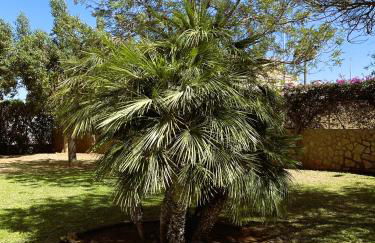 El casa KáMa - Photo 45