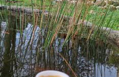 Rustic Retreat-Country House - Foto 16