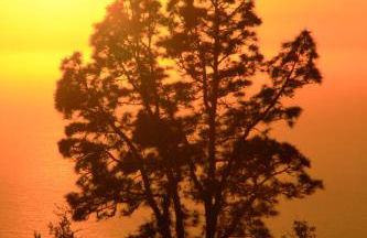 Villa Buena Vista - Foto 46