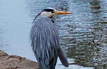 North Cottage Marlfields Hall, Stunning Location - Foto 14