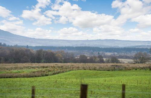 Fiadh Ruadh-Uk40008 - Foto 33