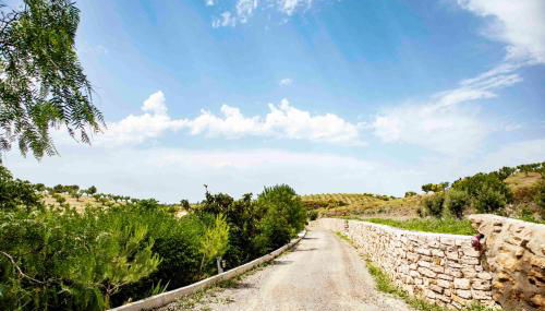 Caserío Lo Bulle - Foto 4