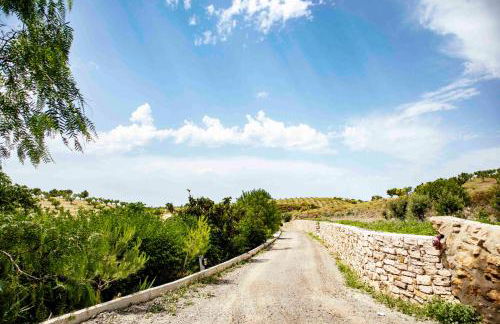 Caserío Lo Bulle - Foto 4