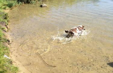 Ferienwohnung auf Rügen mit Boddenblick - Foto 71