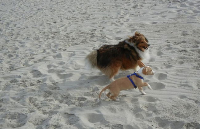 Villa Garden Cloud 7 - Foto 20