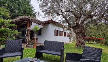 Bill's Garden Villa - Foto 2, Garden