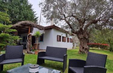 Bill's Garden Villa - Foto 2