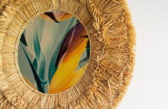 B&B Esotica - Foto 3