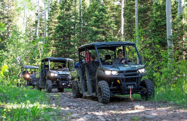 EML 9 Juniper - Foto 22