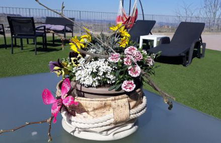 Cascina Roella - Foto 18