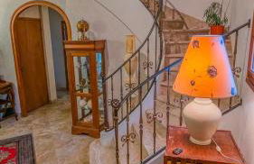 Gîte Le Grand Albizia - Foto 8